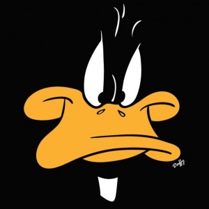 avatar van Stekelnootje